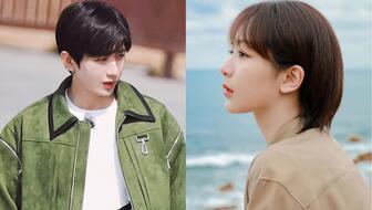 娱乐八卦爆料成毅杨紫是哪一期,揭秘娱乐圈最新绯闻情侣